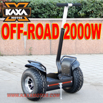 2 Wheel Stand UP Electric Scooter 2000W