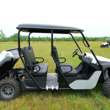 Kingwoo Kids UTV: 4 Seat Electric UTV for Adults and Farms