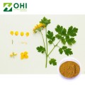 Chelidonium Majus Extract / Chelerythrine Celandine Extract