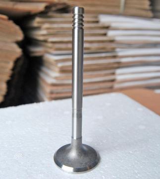 Engine Valves CA498