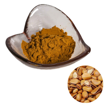 factory suppy high quality Pine nut extract powder / pinus pinaste extract
