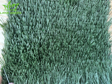 Lawn Artificial Grass Astro turf Soccer Natural Turf