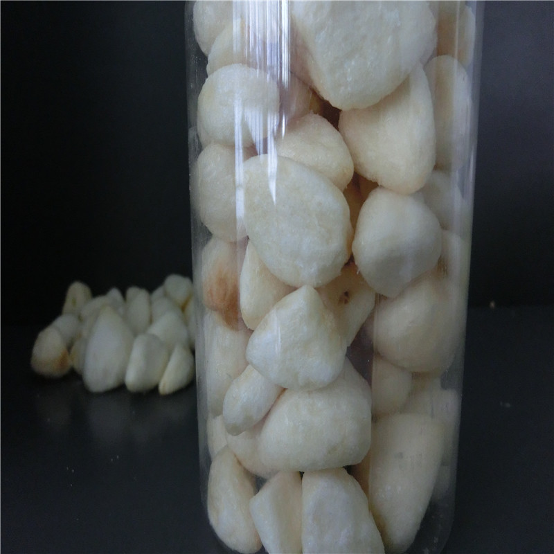 Vf Garlic Clove10