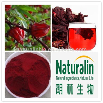 Dried Red Hibiscus Flower/hibiscus extract powder/hibiscus flower extract