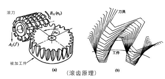 Hobbing -Prinzip Hobbing principle