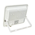 new launched outdoor IP65 led floodlight 50W