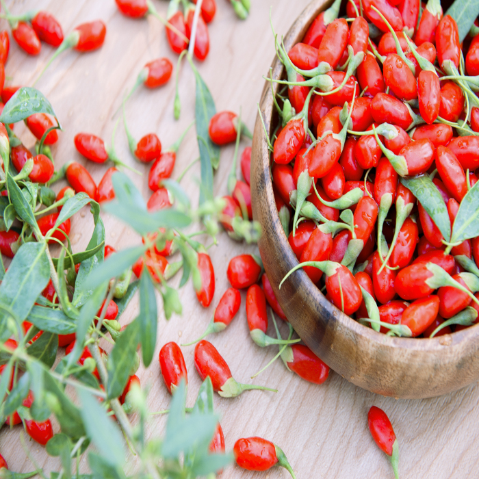 Gezondheid voedings traditionele kruiden Goji Berry