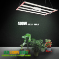 AGLEX LED Grow Light Bar 400W for Seedlings