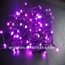 LED String Light/decorative light Purple
