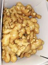 Fresh/Air Dried Ginger with Gap Certificate