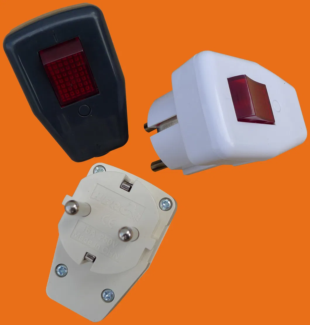 2 Pin Plug with Earth&Switch (P7055)