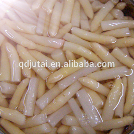 Fresh canned white asparagus vegetable for hot selling in new season