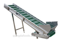 Chilli Pepper Chip Conveyor