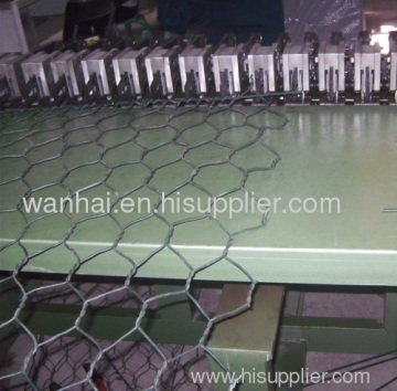 Double Twist Hexagonal Wire Netting 