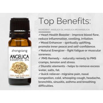 100% reines natürliches Angelica Root Essential Oil