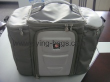 Fashion Cooler Picnic Bag?