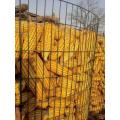 wire mesh Galvanized welded fence panel agriculture net