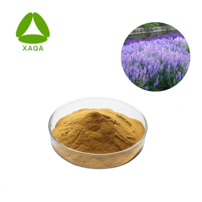 Extrait de baie de Chaste Extrait de Vitex Poudre Vitexin 3%