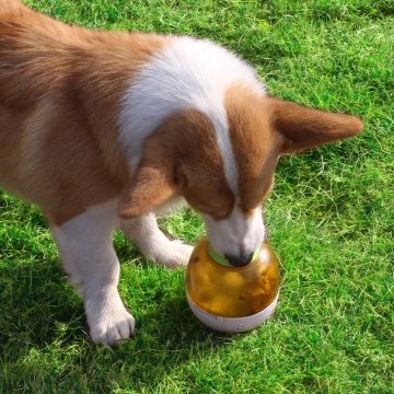 Training Cat Toy Fun Pet Feeder Educational Tumbler