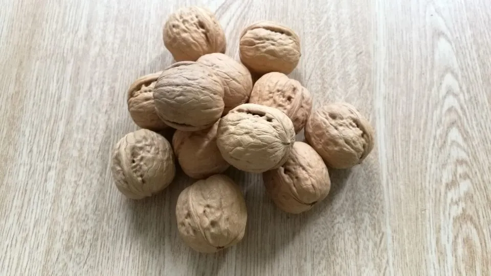 New Crop Extra Lh Walnut Kernels Yunnan Type