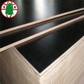 Film faced plywood / Formwork plywood direct from factory