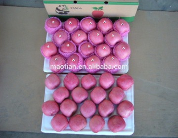 Apple fruit fresh fully blush big sizes