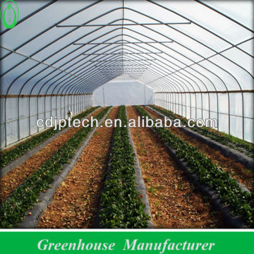 Popular Vegetable Tunnel Greenhouse