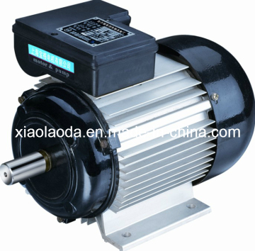 Industrial Motors / Yy Single Phase Capacitor Running Electric Motors with CE Approved