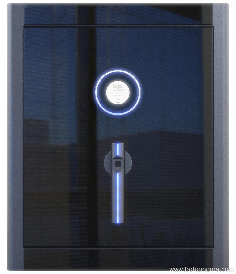 Fingerprint Password SafeBox with Key