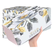 Wholesale Disposable Virgin Wood Pulp 5Ply Facial Tissue