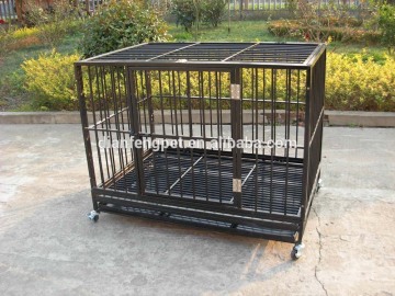 dog crates