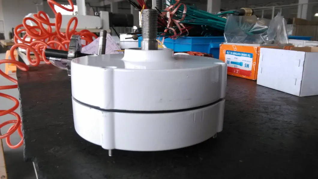 Wind Turbine Dedicated Permanent Magnet Generators with 100W