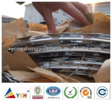 Africa Market Galvanized Razor Barbed Wire for africa