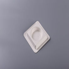 Biodegradable Sugarcane Bagasse Molded Pulp Bottle Tray