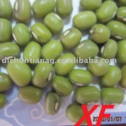 China Green Mung Bean organic
