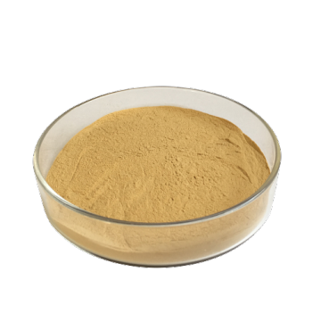 Animal Feed Ingredients Choline Chloride