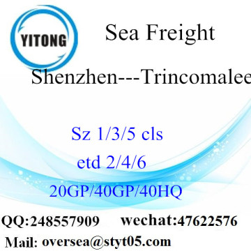 Shenzhen Port Zeevracht Verzending naar Trincomalee