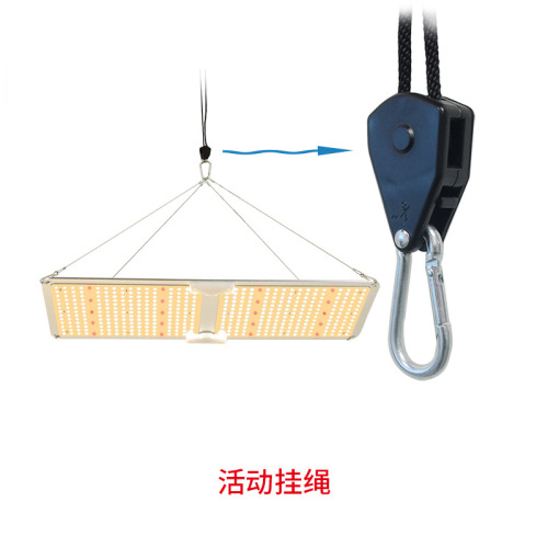 Bord Quantum LED Light Light 200W