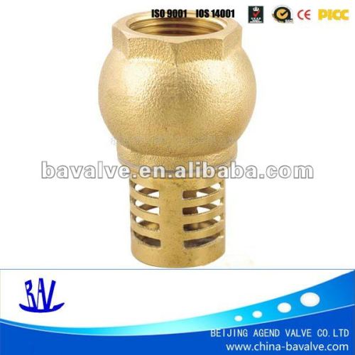 Brass foot valve