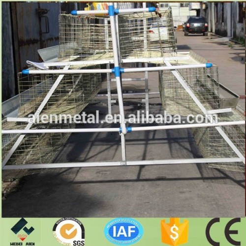 Automatic galvanized chicken eggs poultry cage farm house design