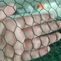 Galvanized Hexagonal Wire Mesh For Fence or Bird Cage