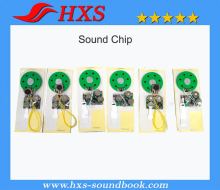 Pre-recorded Music Greeting Card Sound Chip or Sound Module