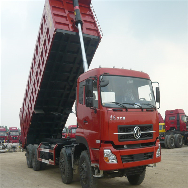 600x600 8x4 Dump Truck 2