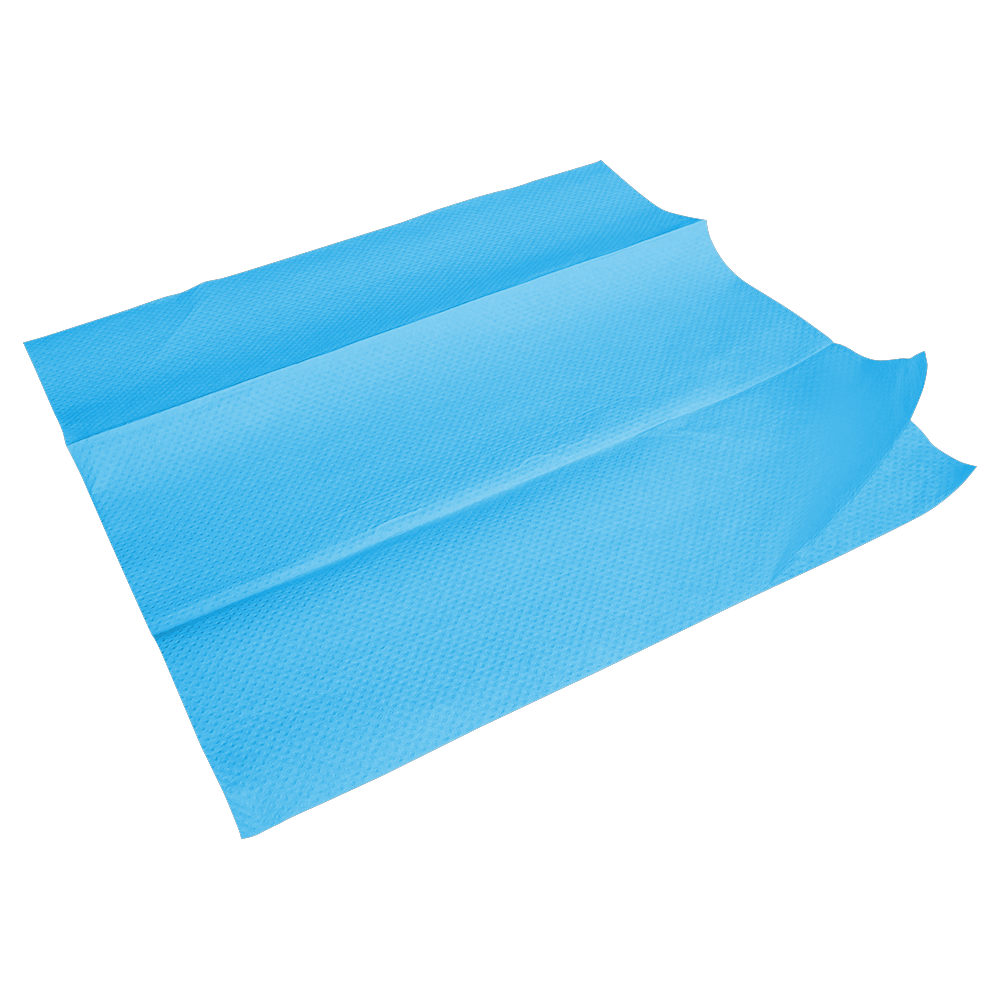 Blue Multifold Paper Towel