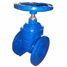 Ductile Iron Rubber Wedge Flanged Gate Valves