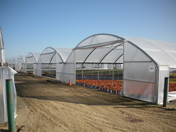 low cost greenhouse poly tunnel solar hydroponic greenhouse