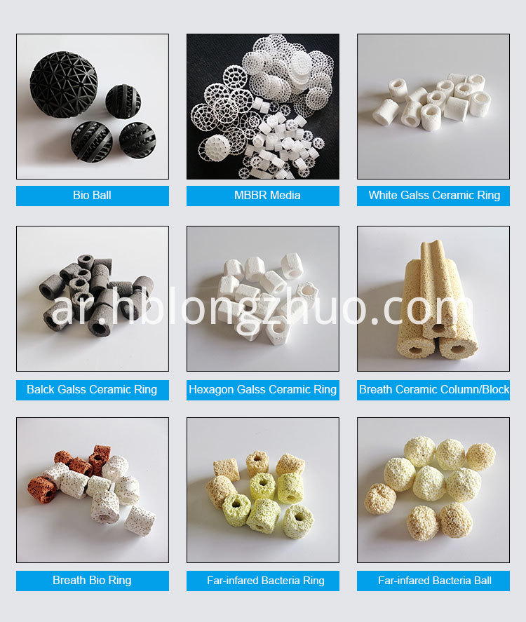 الصين تصفية البيولوجية وسائل الإعلام البسيطة البكتيريا البيت خواتم السيراميك المصنعين