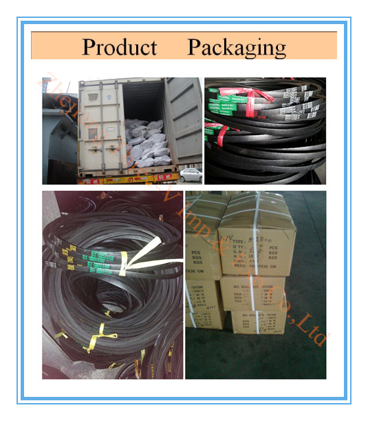 V belt Packing