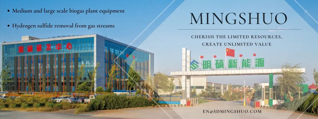 800kw CHP Biogas Natural Gas Generator for STP