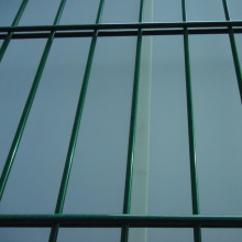 868 Double Wire 2D Panel Fence